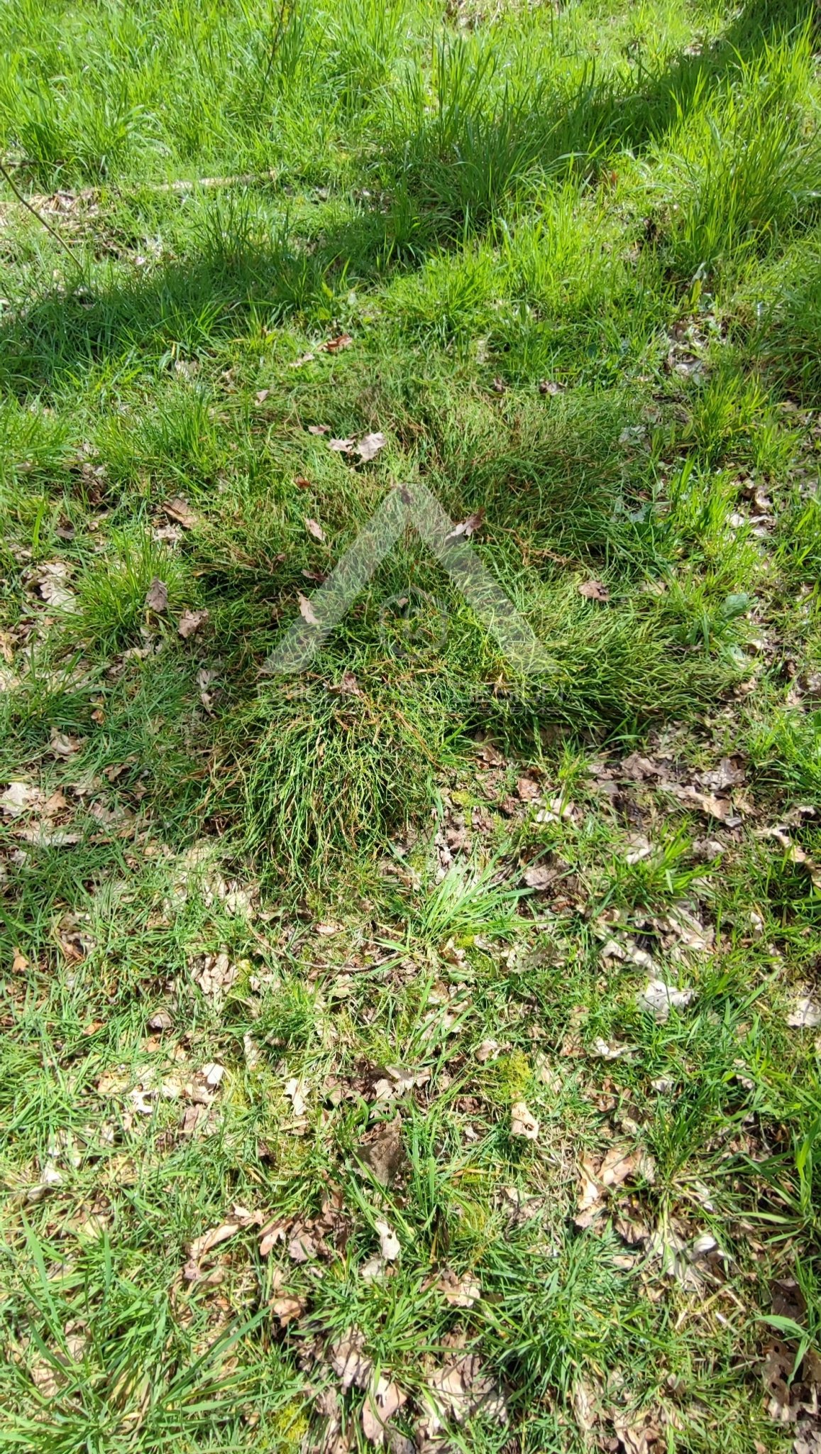IMG_20230411_235013.jpg