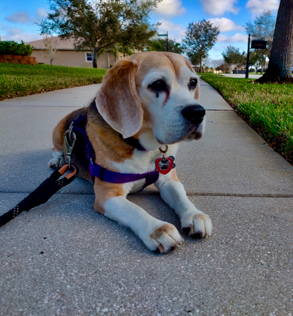 IMG_20240129_092512116_HDR.jpeg