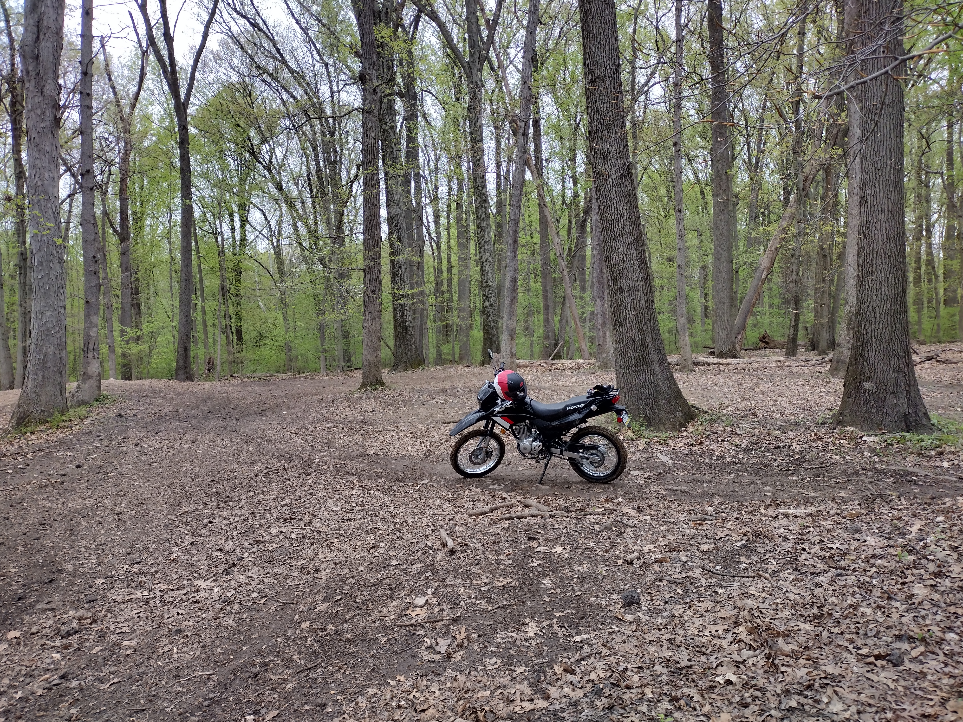 IMG_20240421_104733550_HDR.jpg