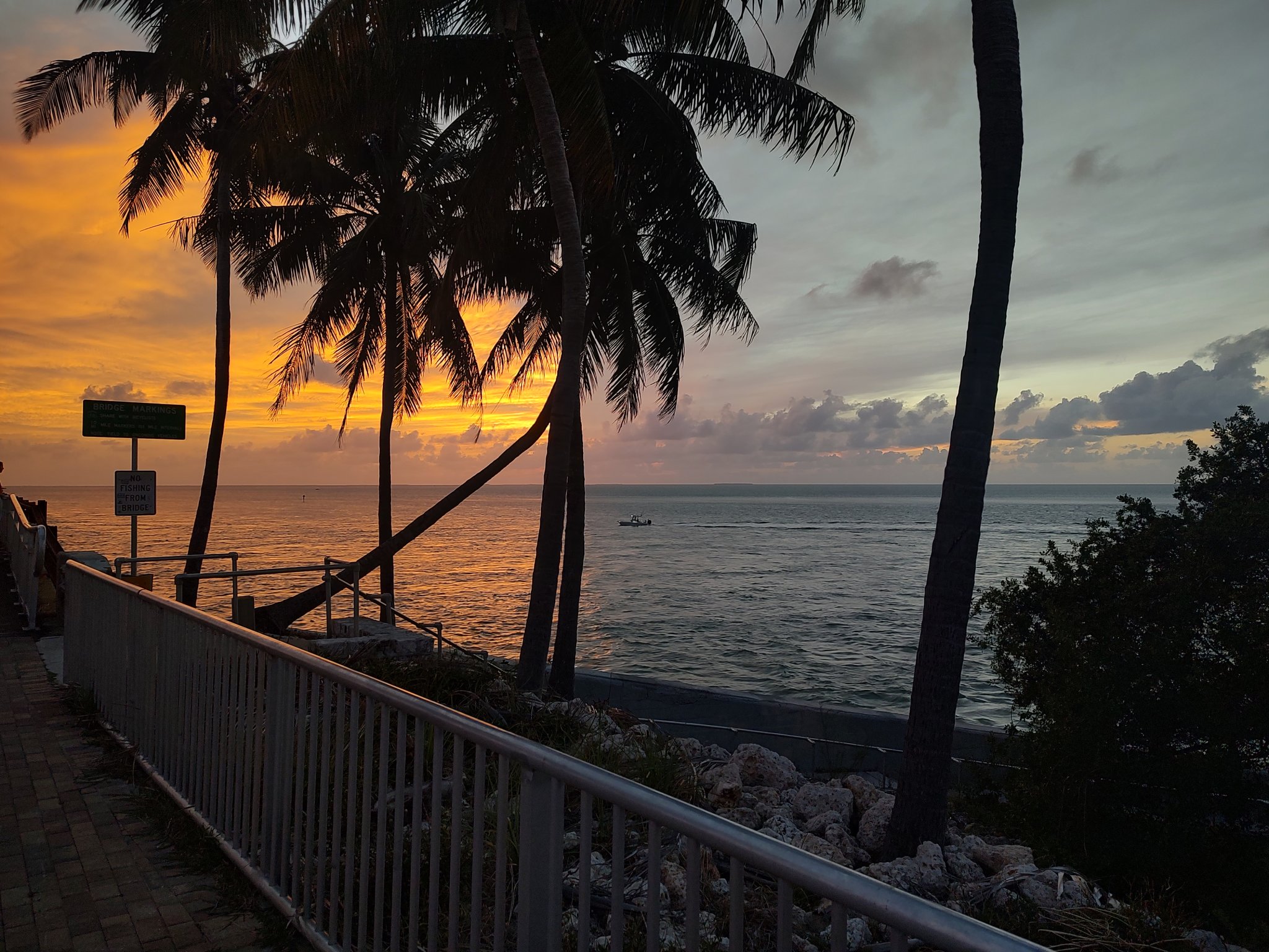 IMG_20240620_202450343_HDR.jpg