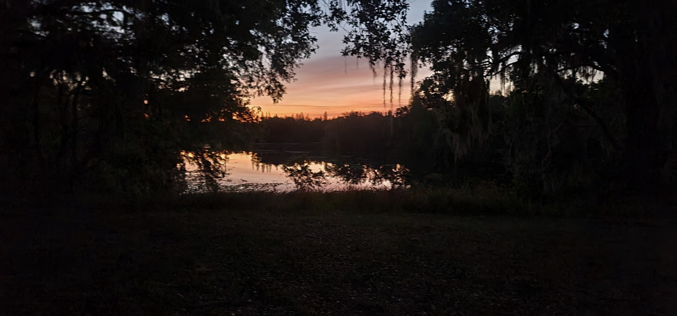 IMG_20250324_201935.jpg