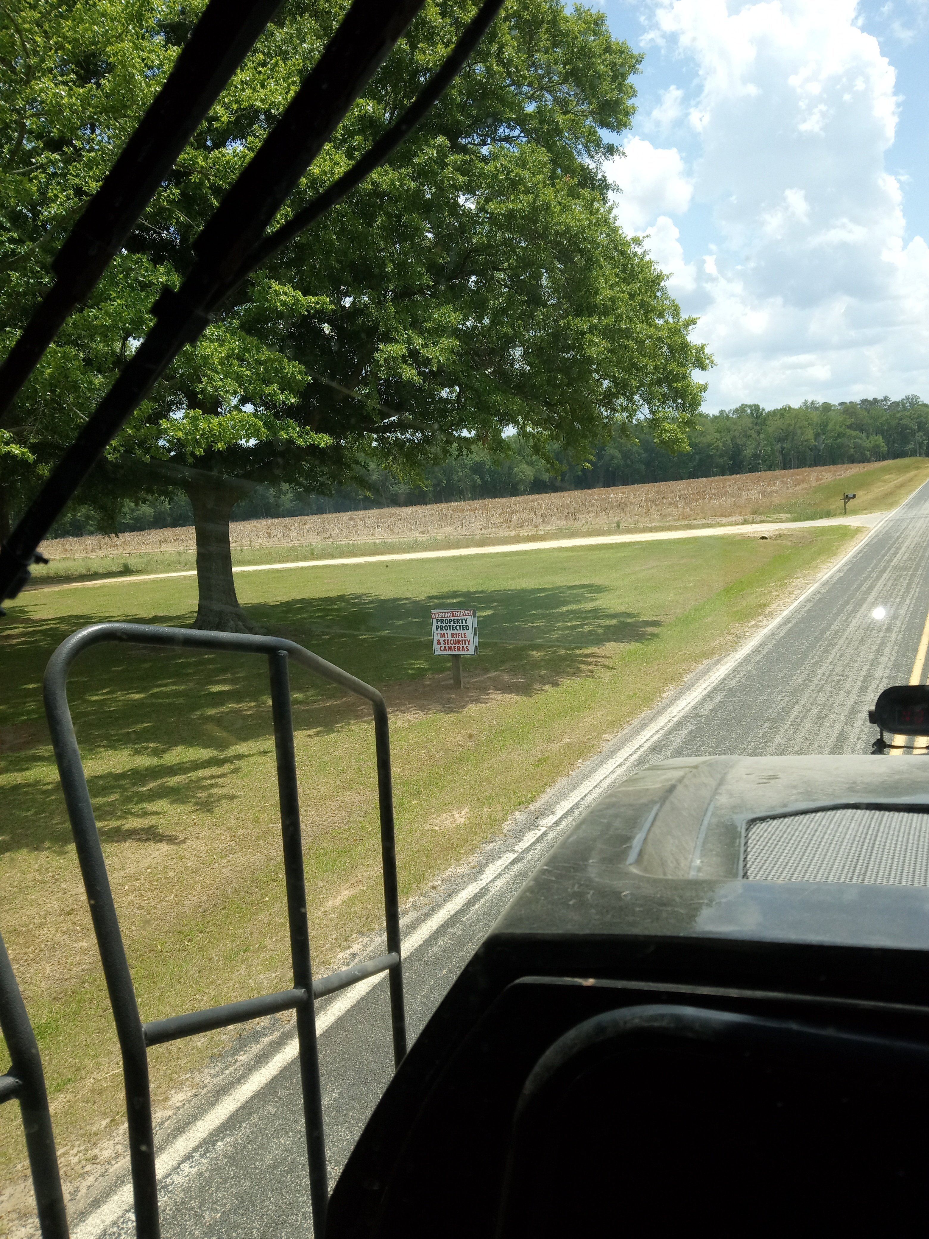 IMG_20250502_130356025.jpg