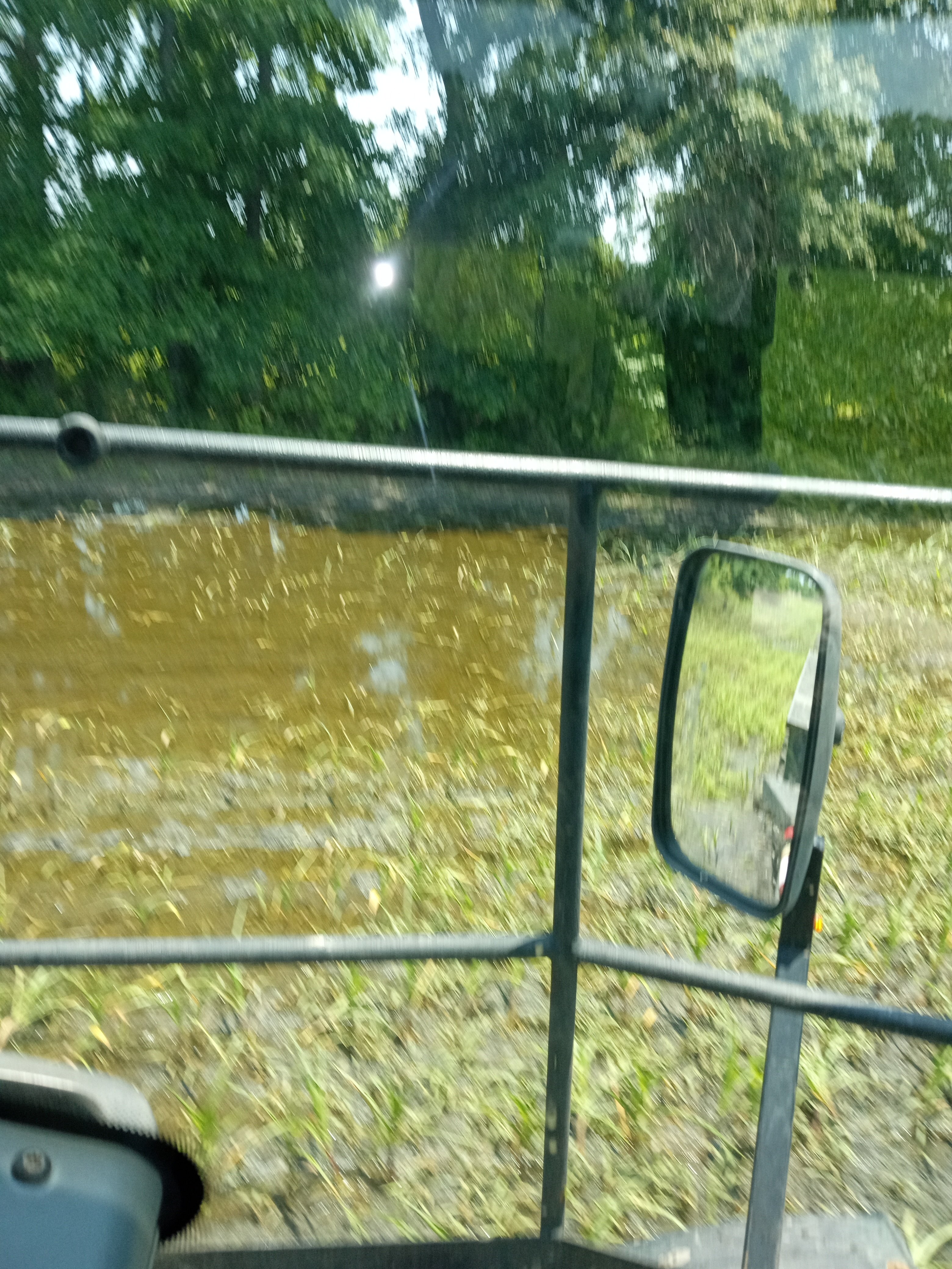 IMG_20250603_131120193.jpg