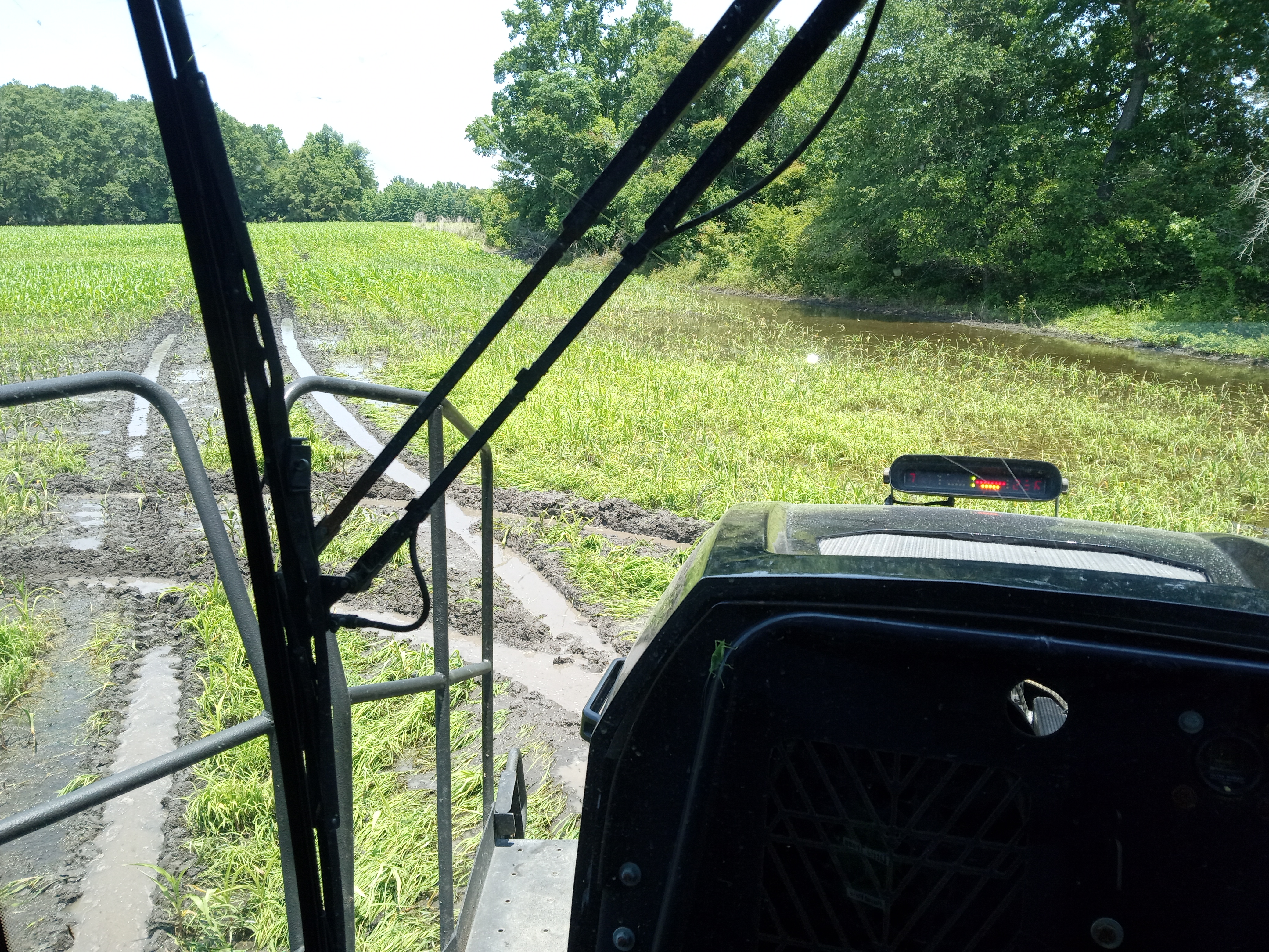 IMG_20250603_131524344.jpg
