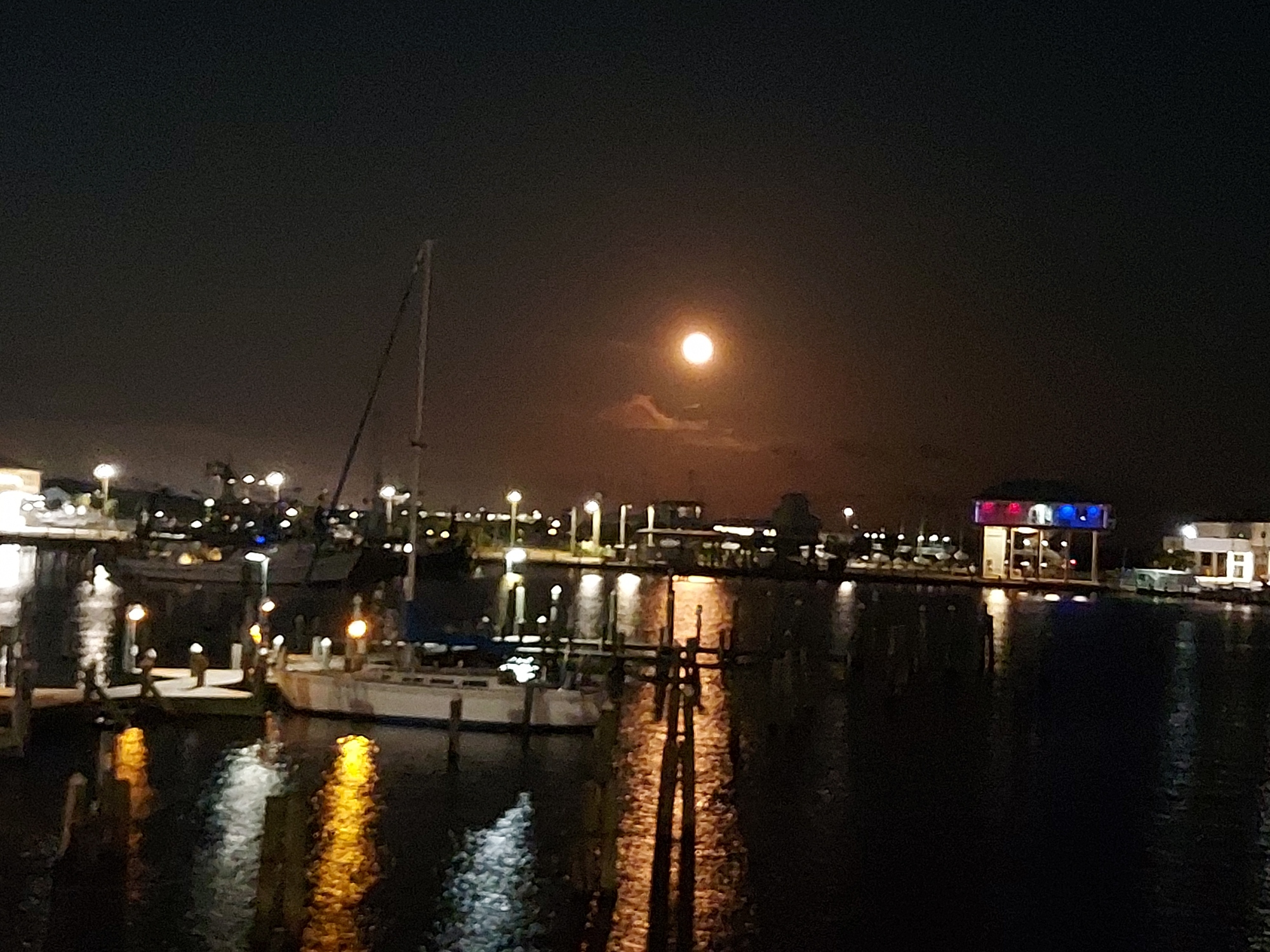 IMG_20251007_192428.jpg