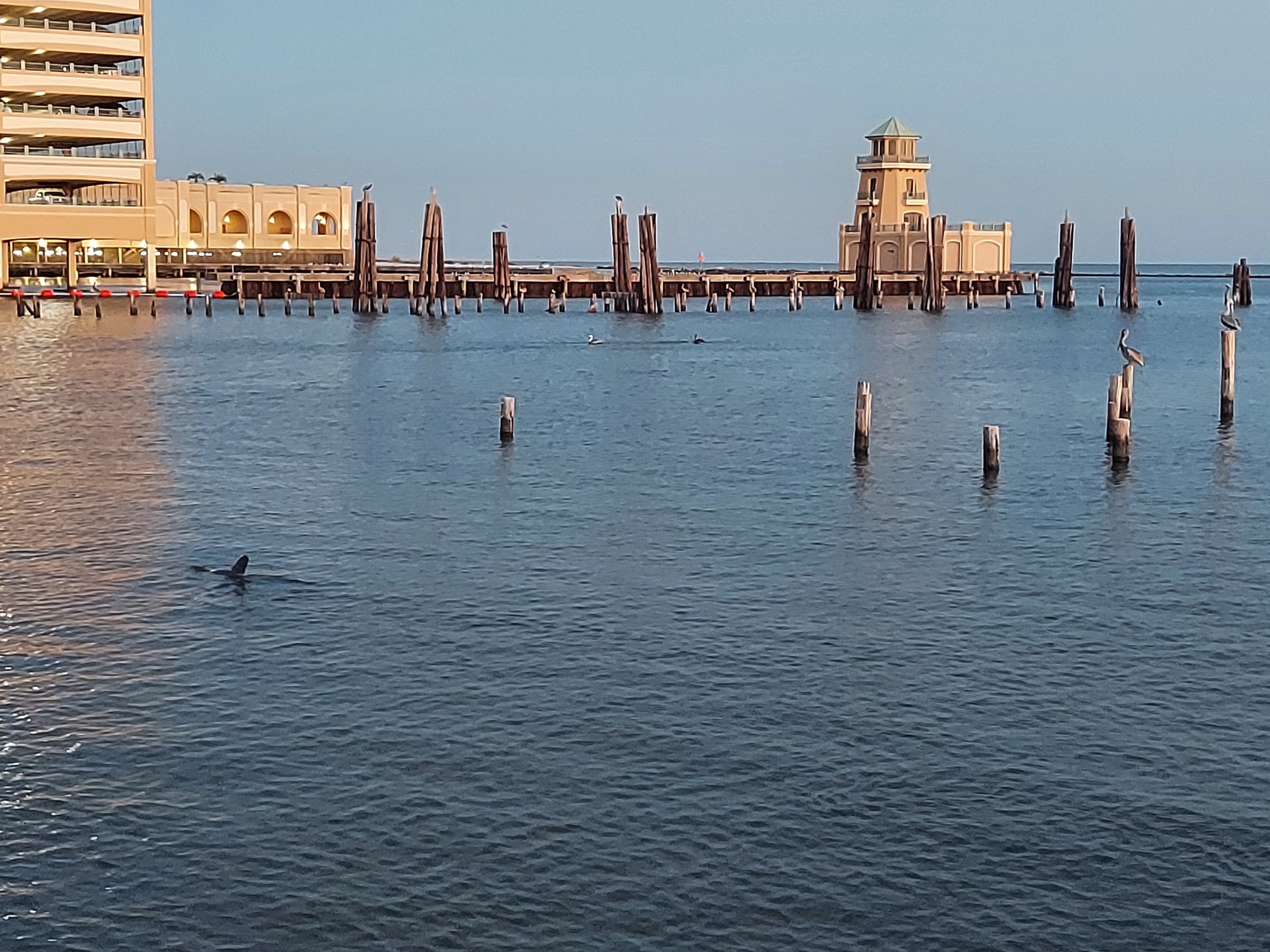 IMG_20251010_184740.jpg