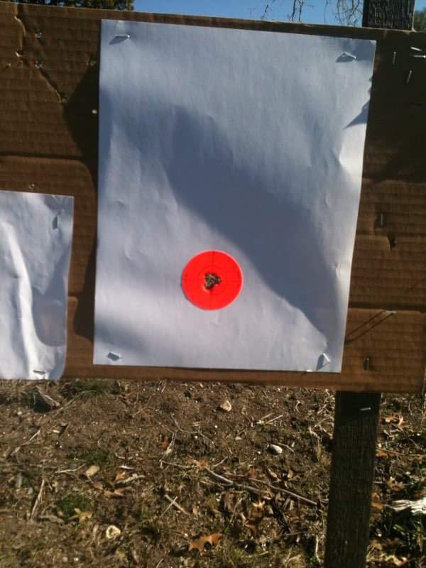 IMG_2113.jpeg
