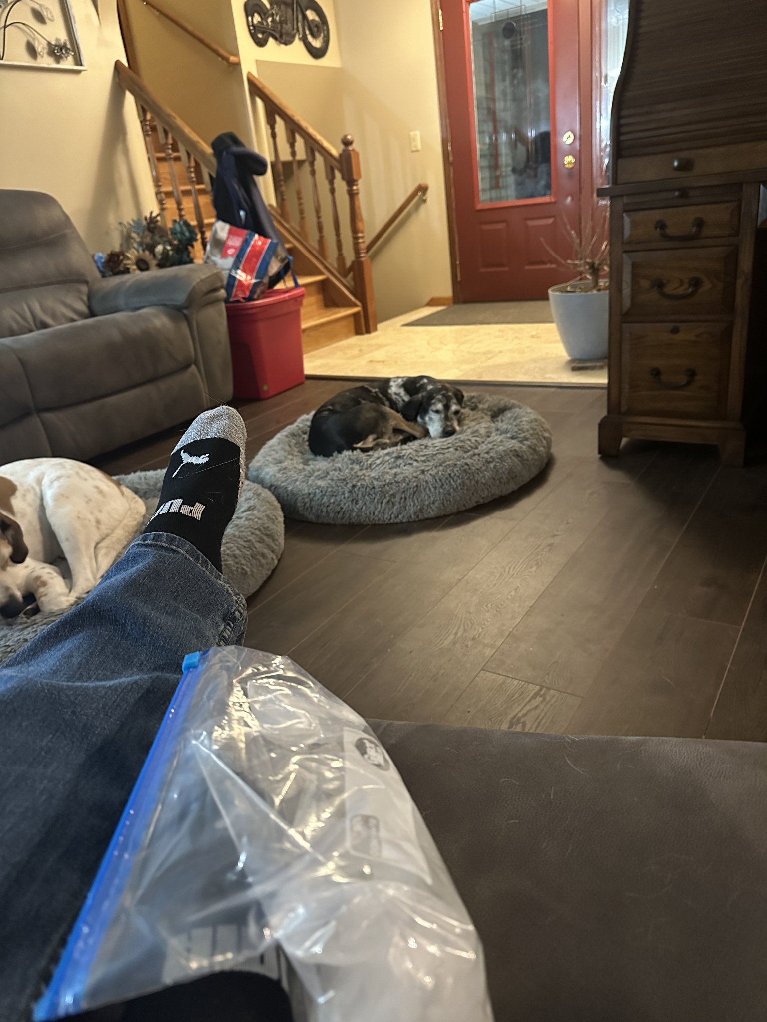 IMG_2145.jpeg