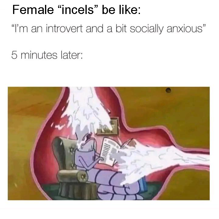 IMG_2181.png