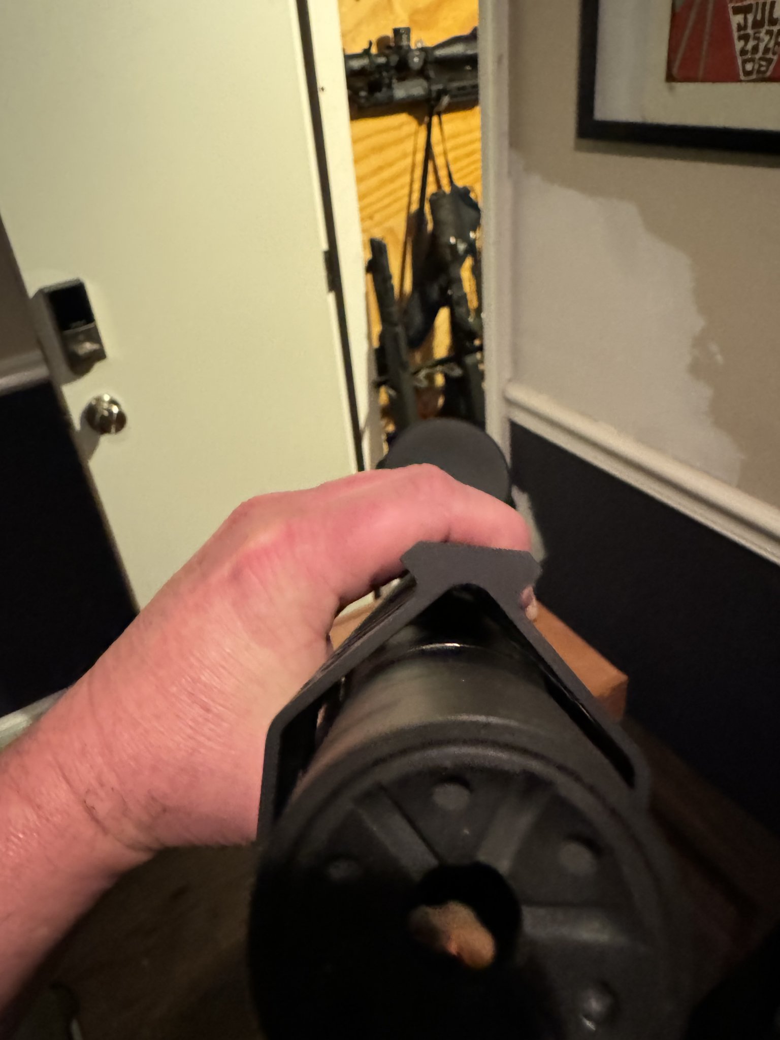 IMG_2239.jpeg