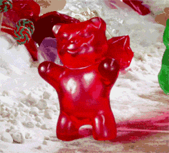 IMG_2431.gif