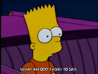 IMG_2551.gif