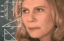 IMG_2731.gif