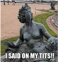 IMG_2748.jpeg