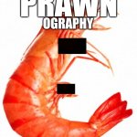 IMG_2862.jpeg