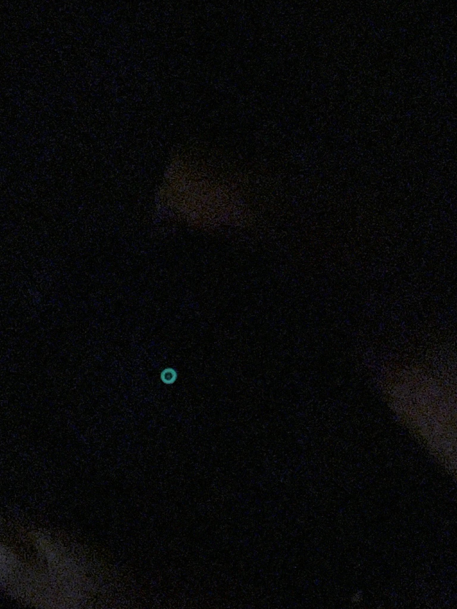 IMG_2926.jpeg