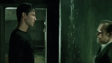 IMG_2969.gif