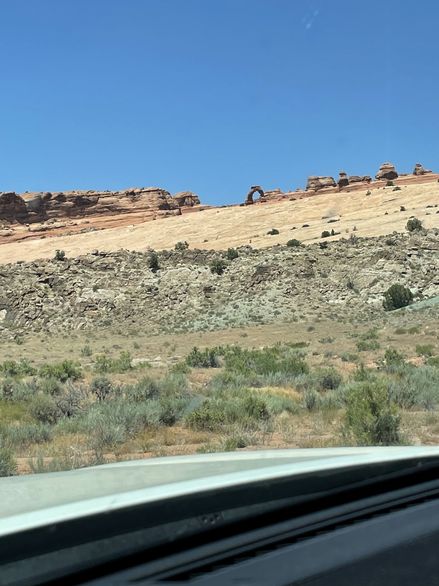 IMG_3031.jpeg