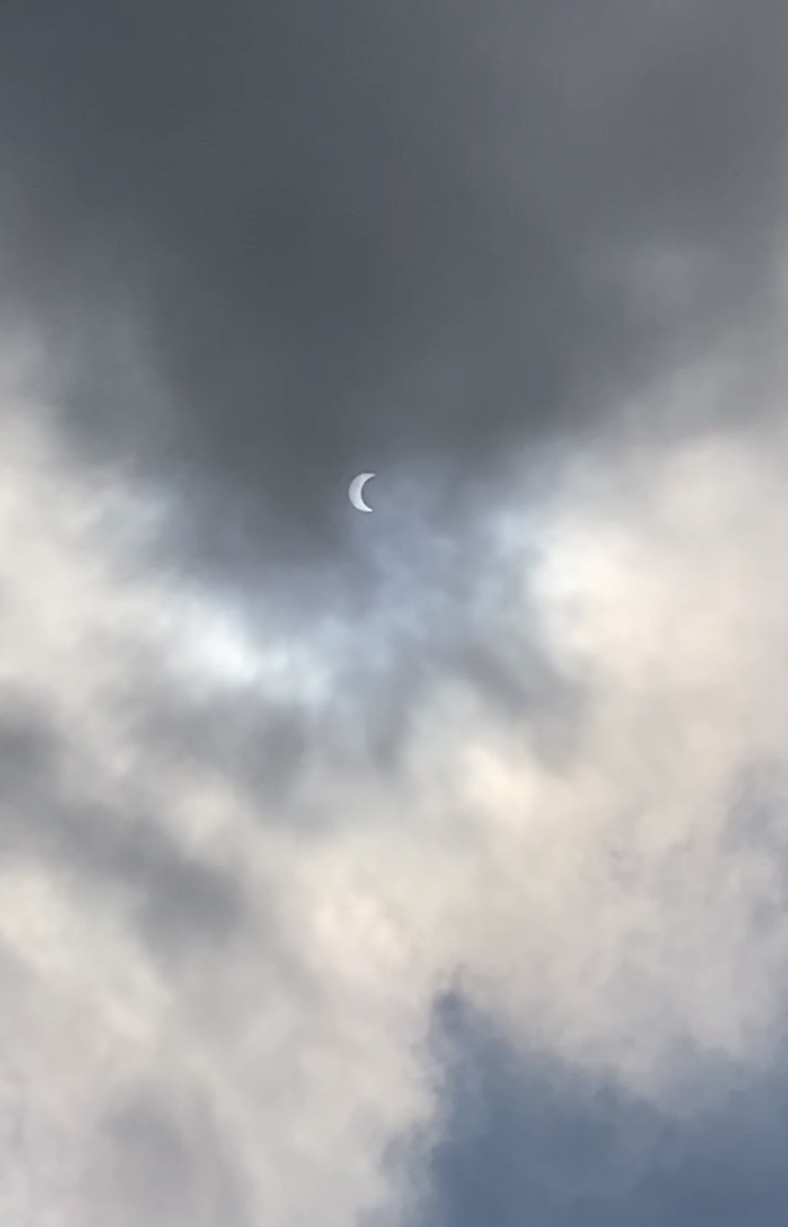 IMG_3119.jpeg