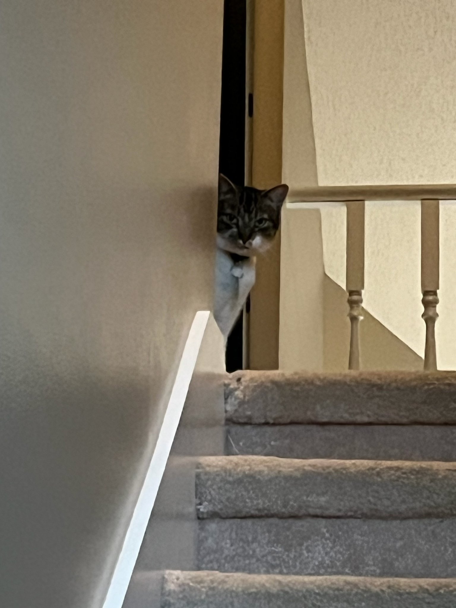 IMG_3189.jpeg