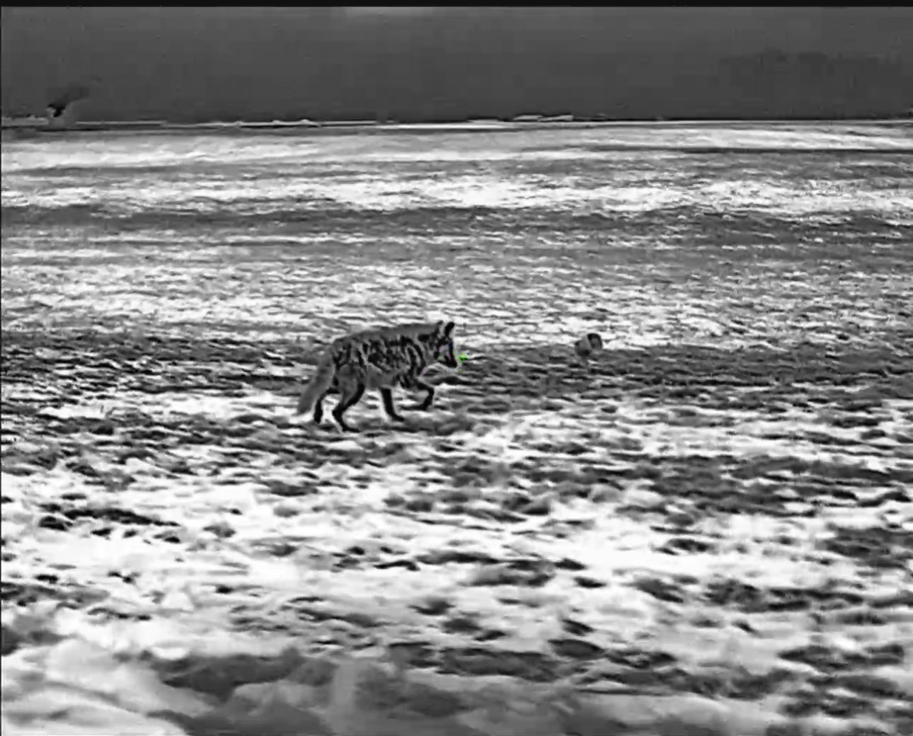 IMG_3192.jpeg