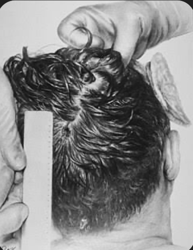 IMG_3193.jpeg