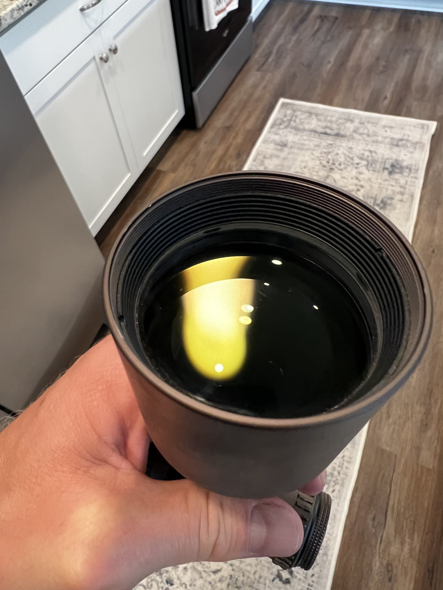 IMG_3341.jpeg