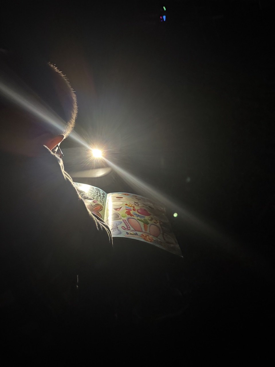 IMG_3427.jpeg