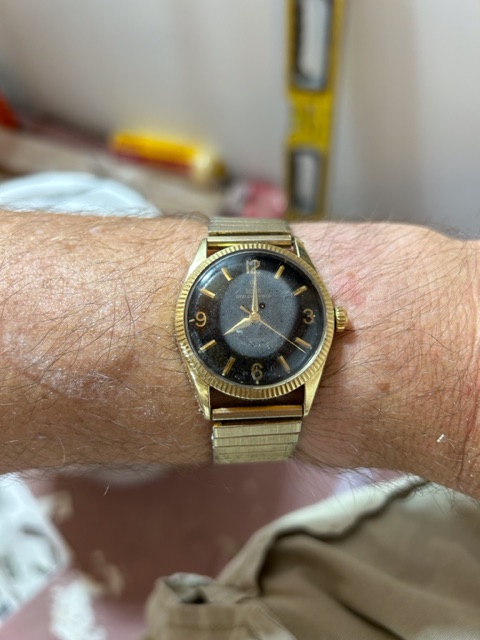 IMG_3464.jpeg