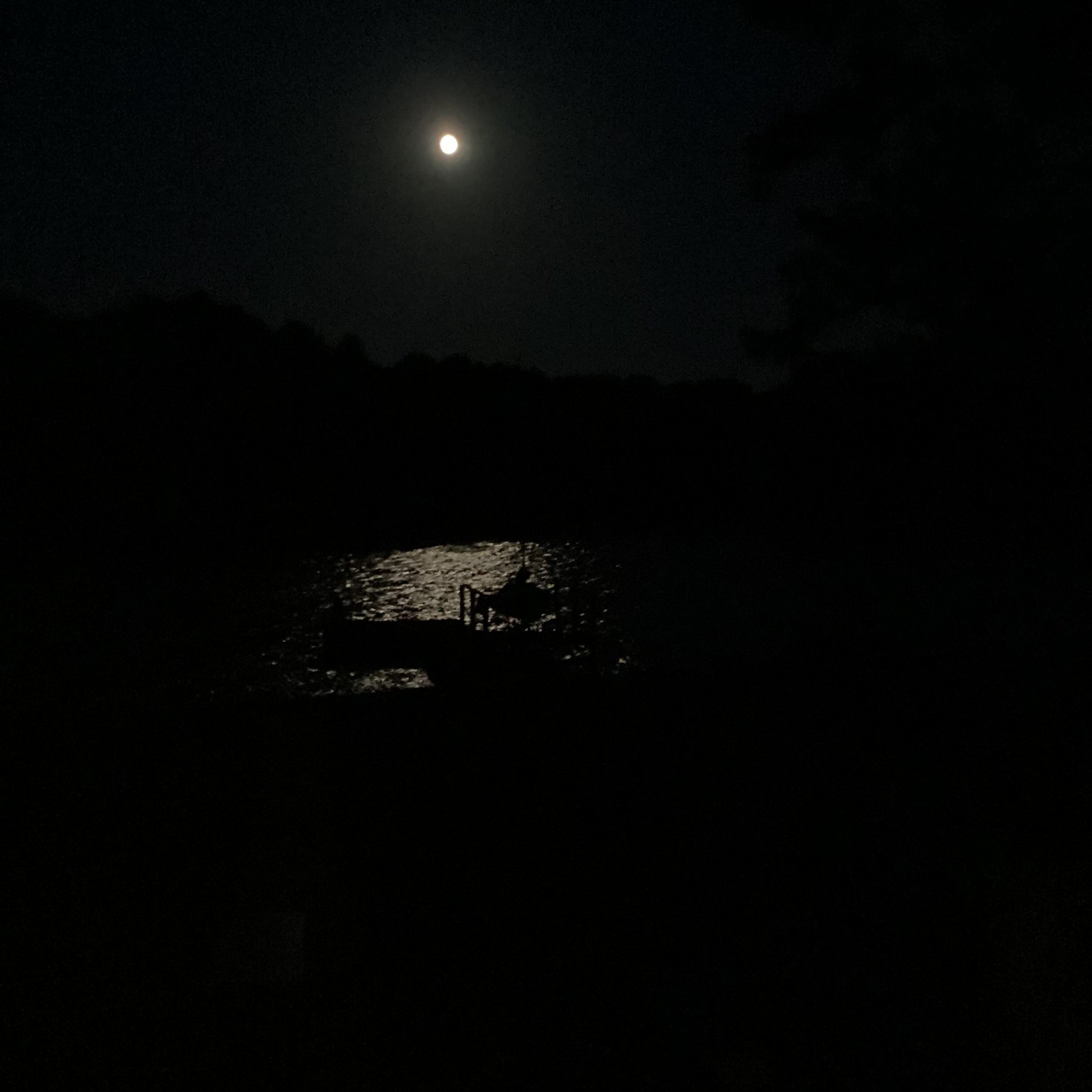 IMG_3561.jpeg