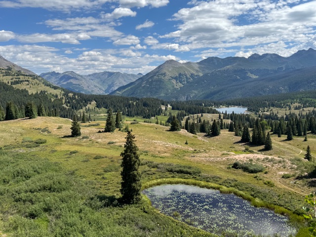 IMG_3777.jpg