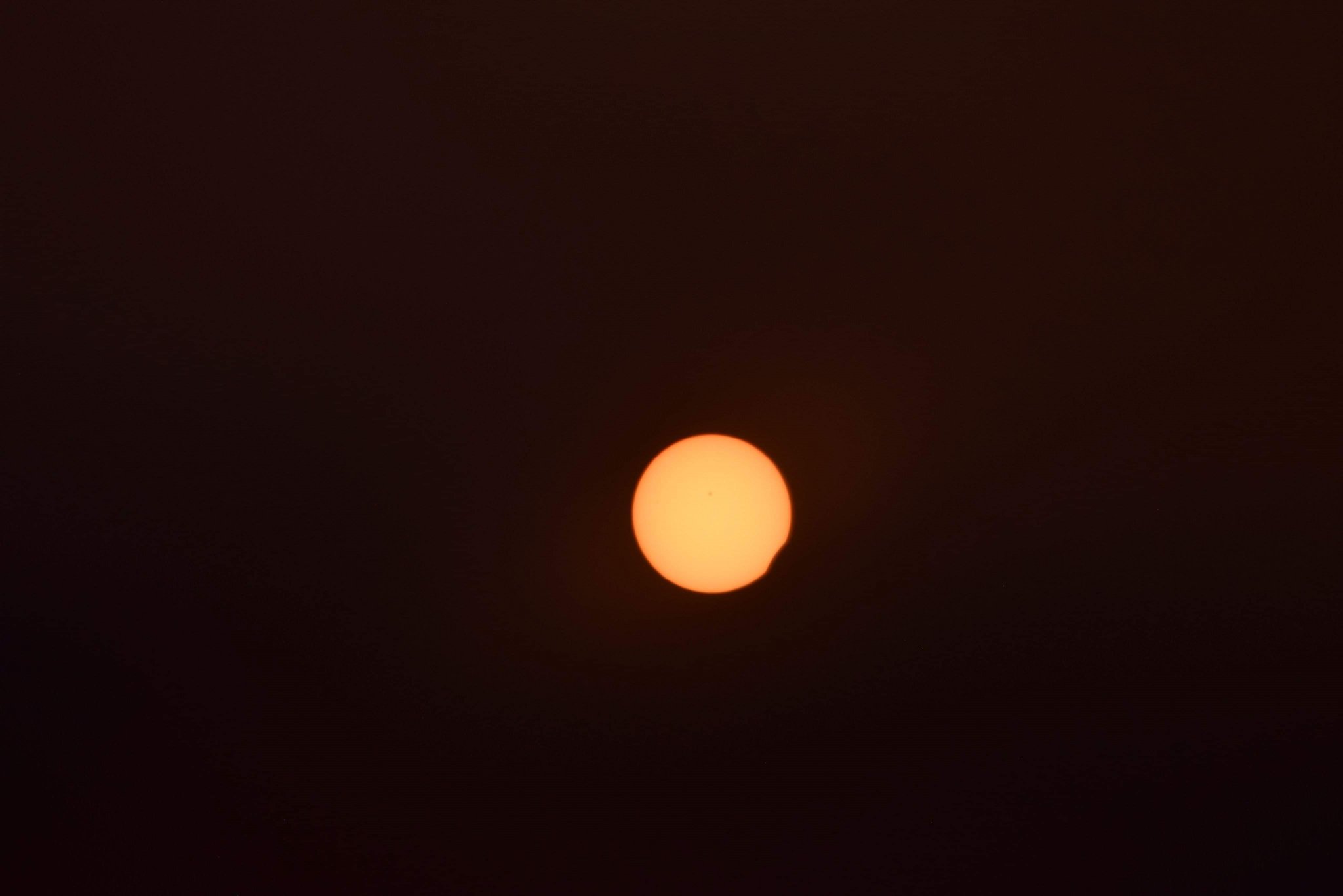 IMG_3868.jpeg