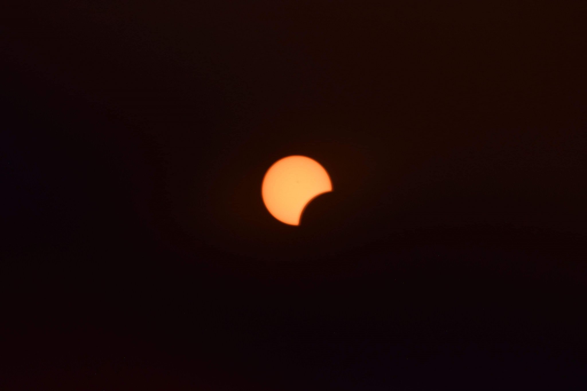 IMG_3873.jpeg