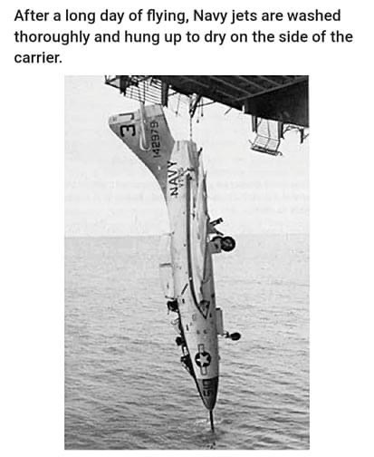 IMG_3969.jpeg