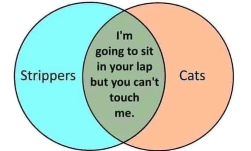 IMG_3972.jpeg