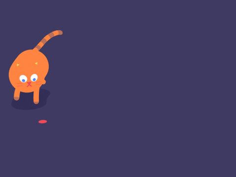 IMG_3981.GIF