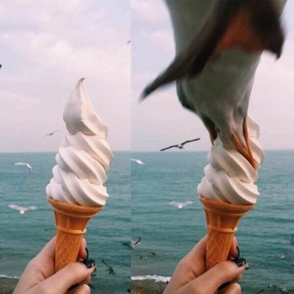 IMG_4136.jpeg.d5410636977a0366c41e4336db3cc6e1.jpeg