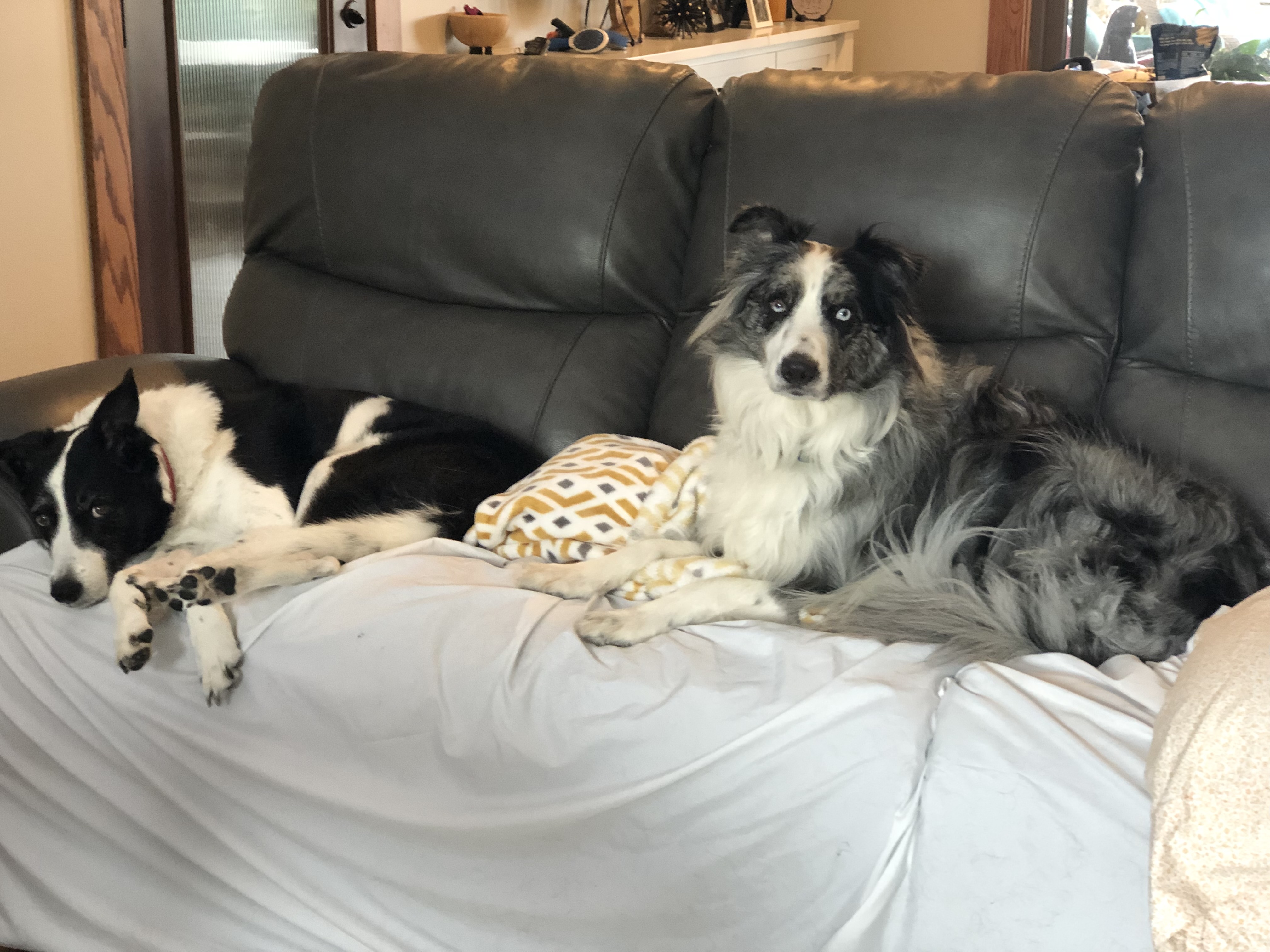 IMG_4234.jpeg