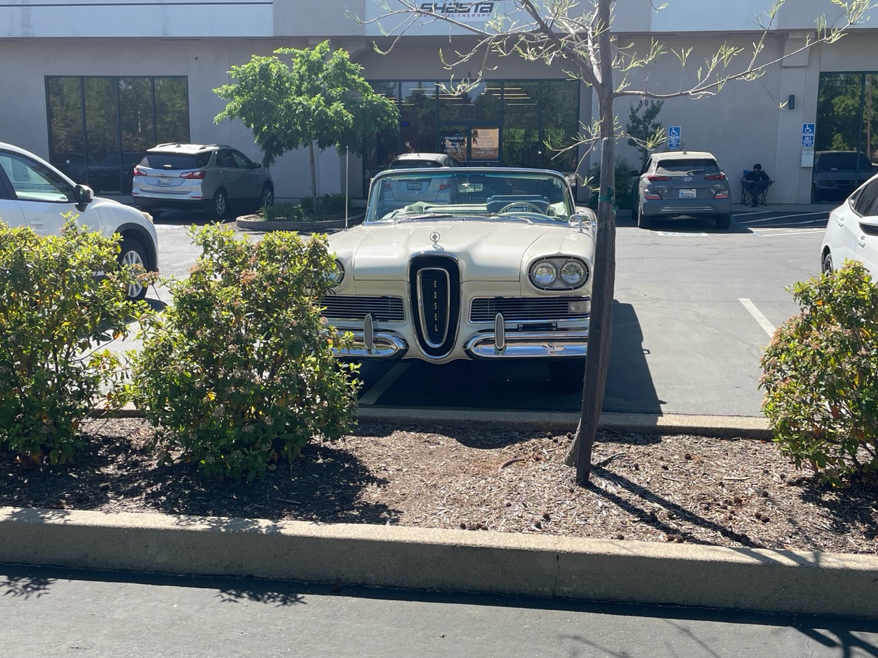IMG_4304.jpeg