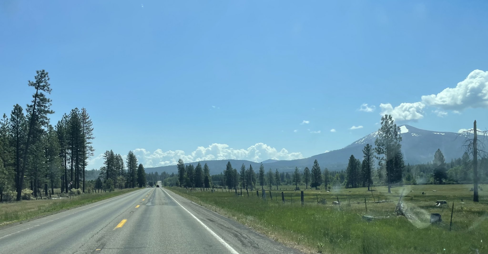 IMG_4385.jpeg