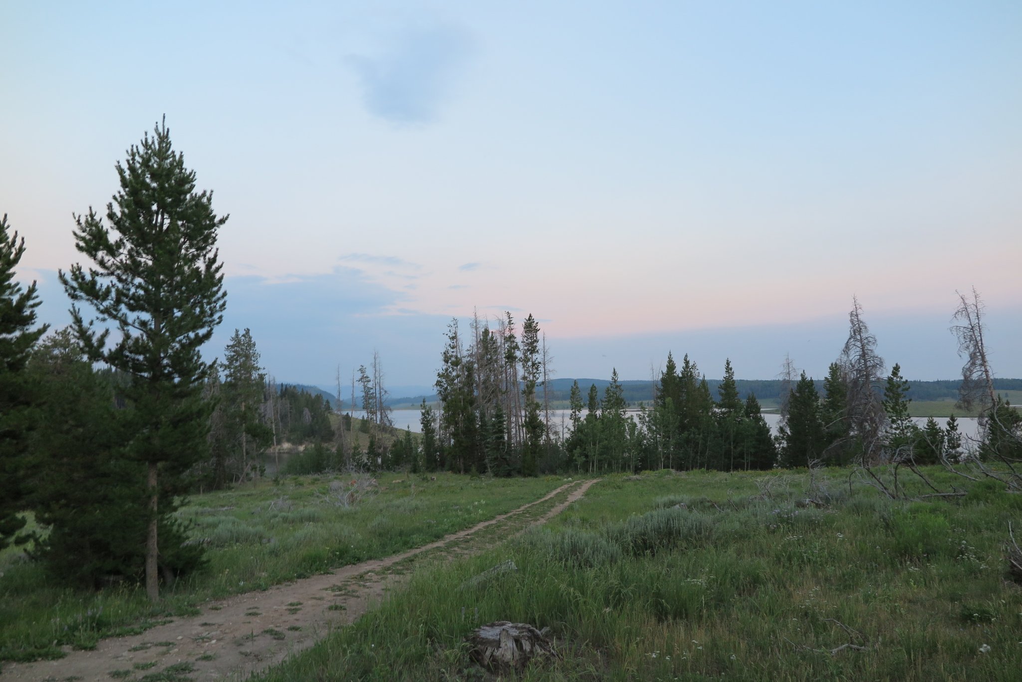 IMG_4386.JPG