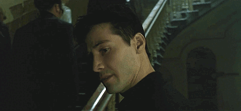 IMG_4573.gif