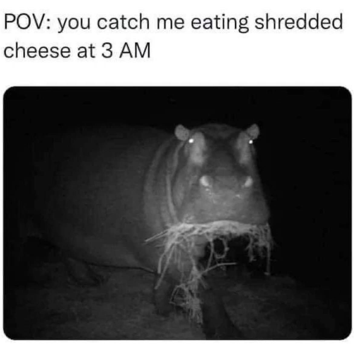 IMG_4587.jpeg