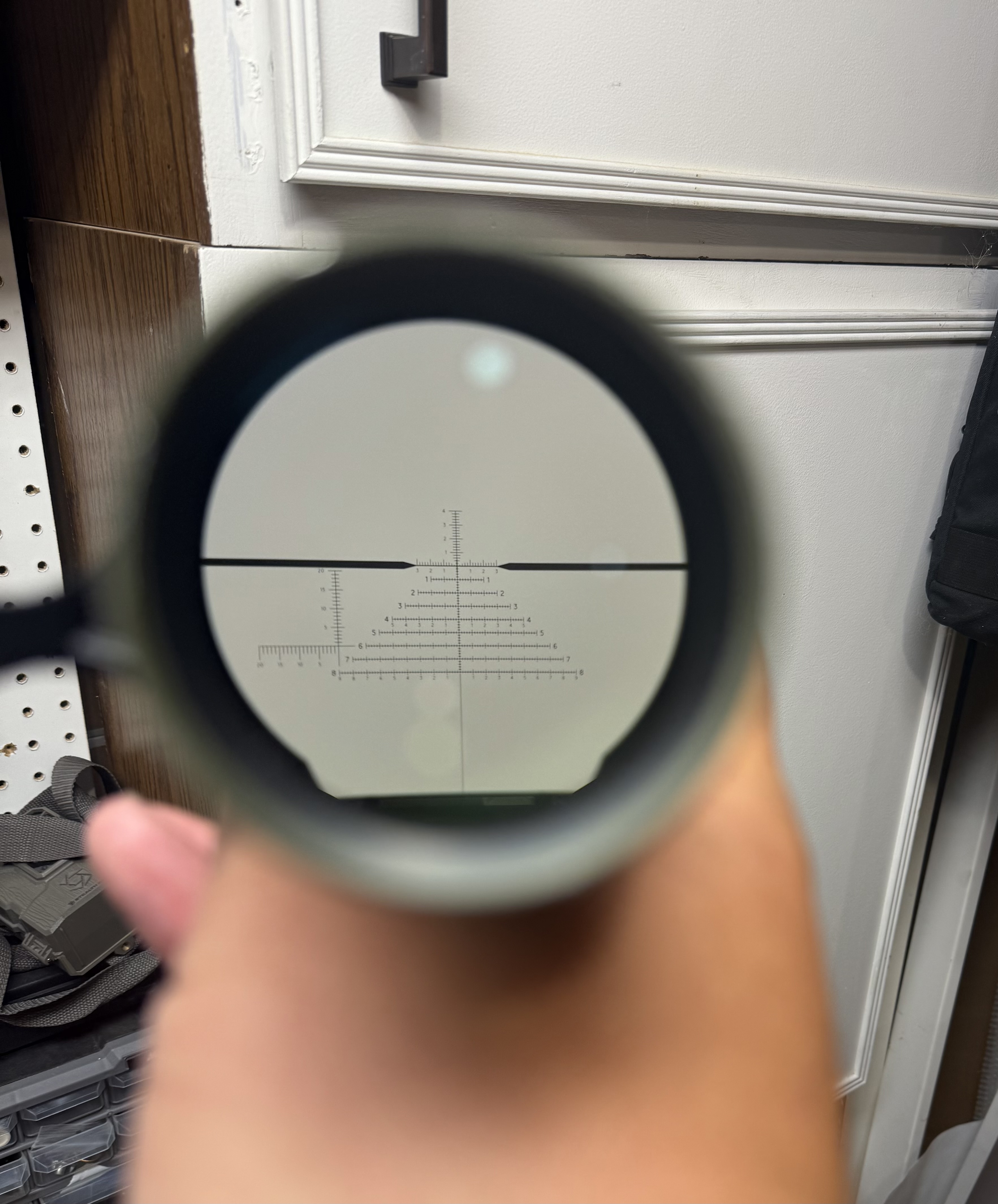 IMG_4723.jpeg