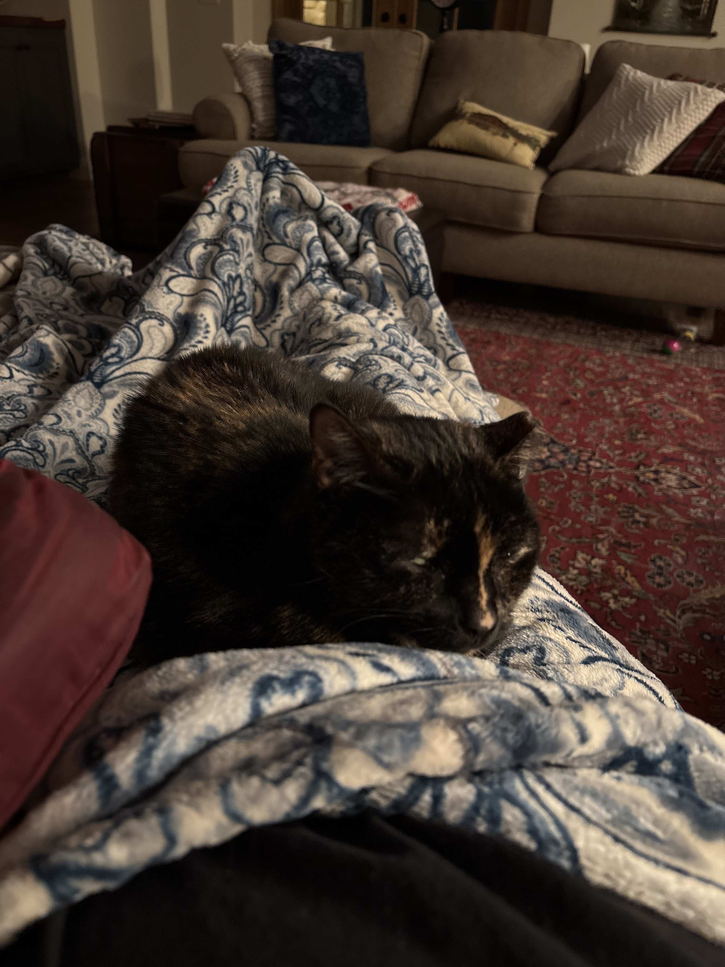 IMG_4806.jpeg