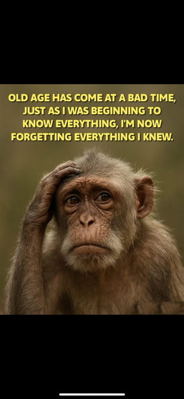 IMG_4886.png