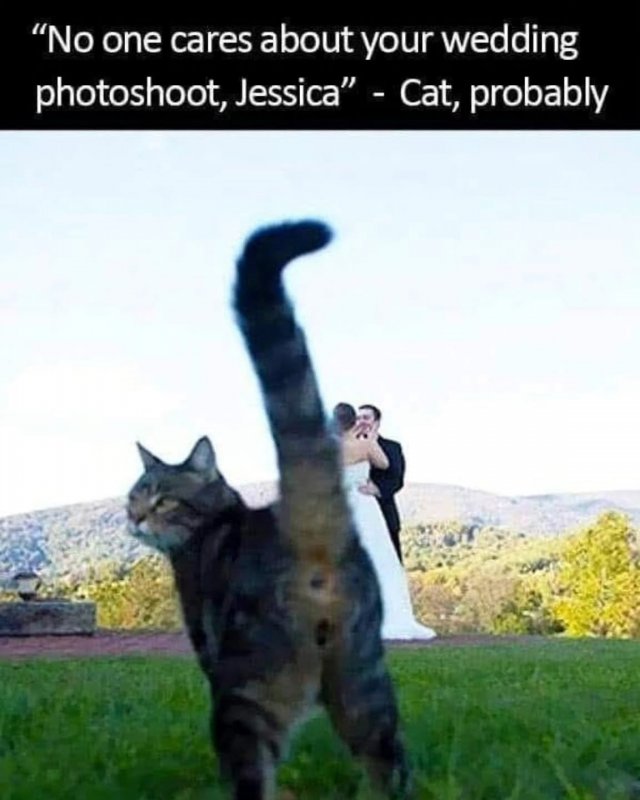 IMG_5094.jpeg