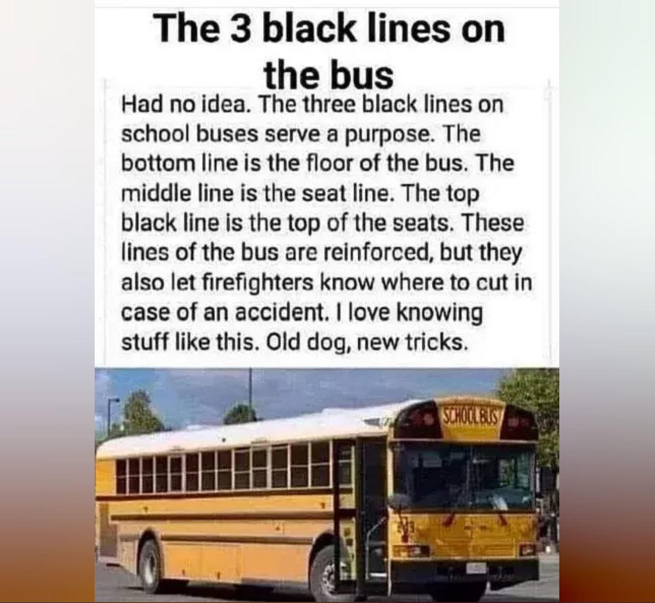 IMG_5313.jpeg