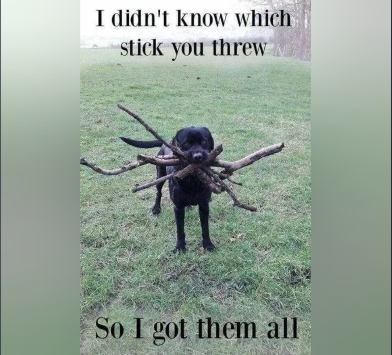 IMG_5451.jpeg