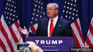 IMG_5501.gif